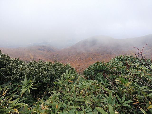 和尚山への登山道途中の景色